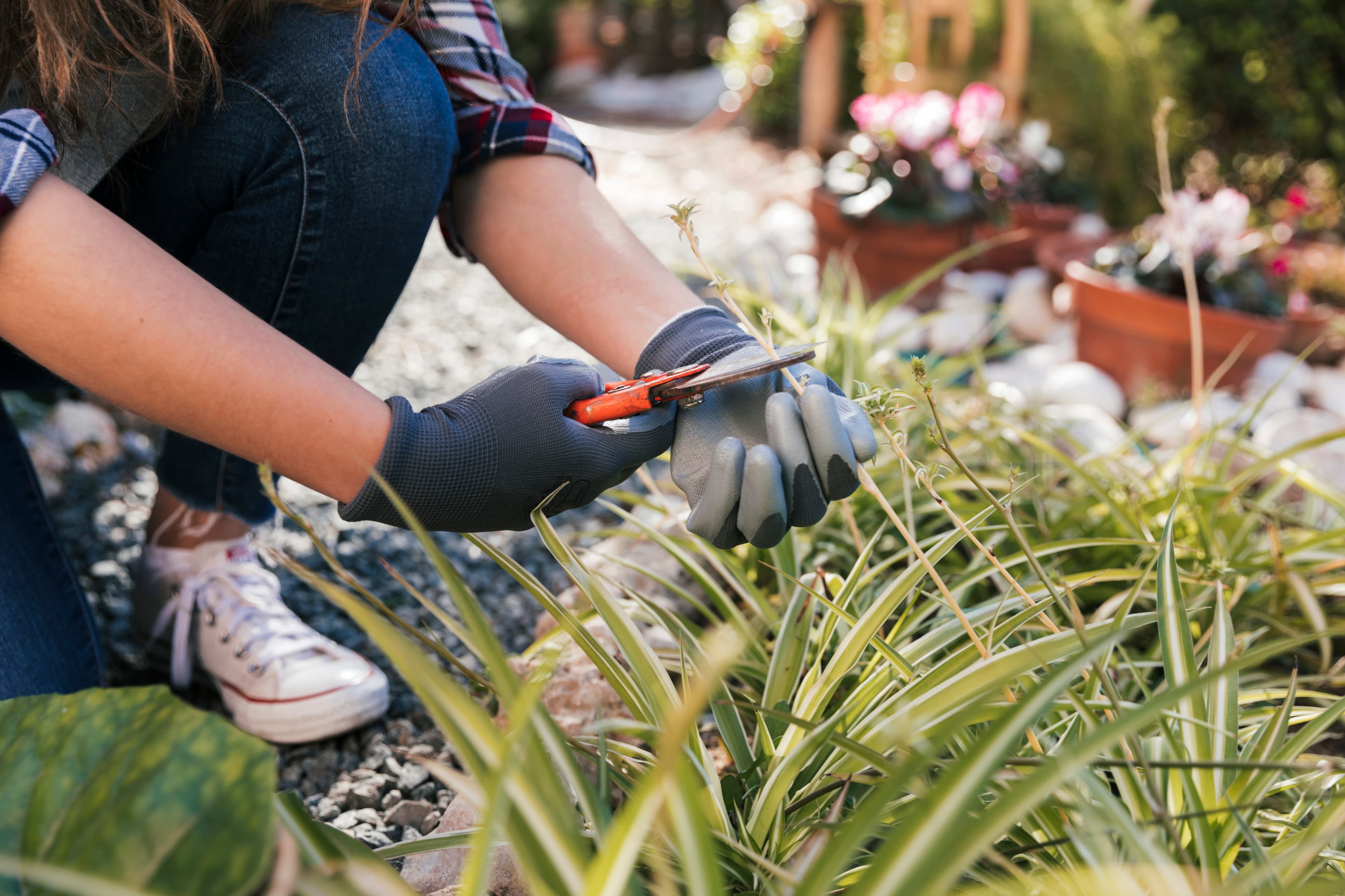 Landscaping